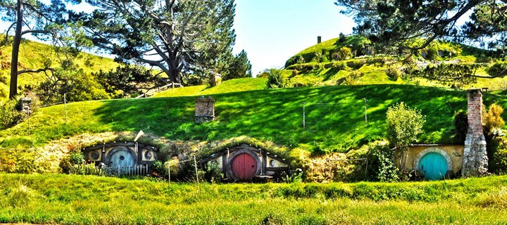 Vivir y estudiar en Nueva Zelanda: el testimonio de una chilena