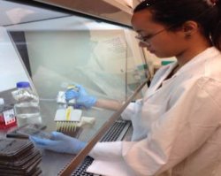 Dublin Institute of Technology