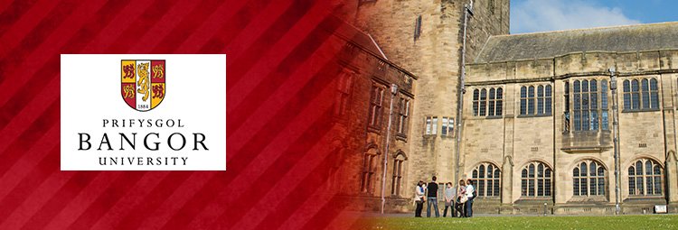 Discover a hidden gem in the UK