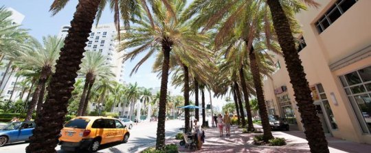 Por que estudar inglês nos Estados Unidos? Pt.II