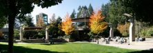 Capilano University