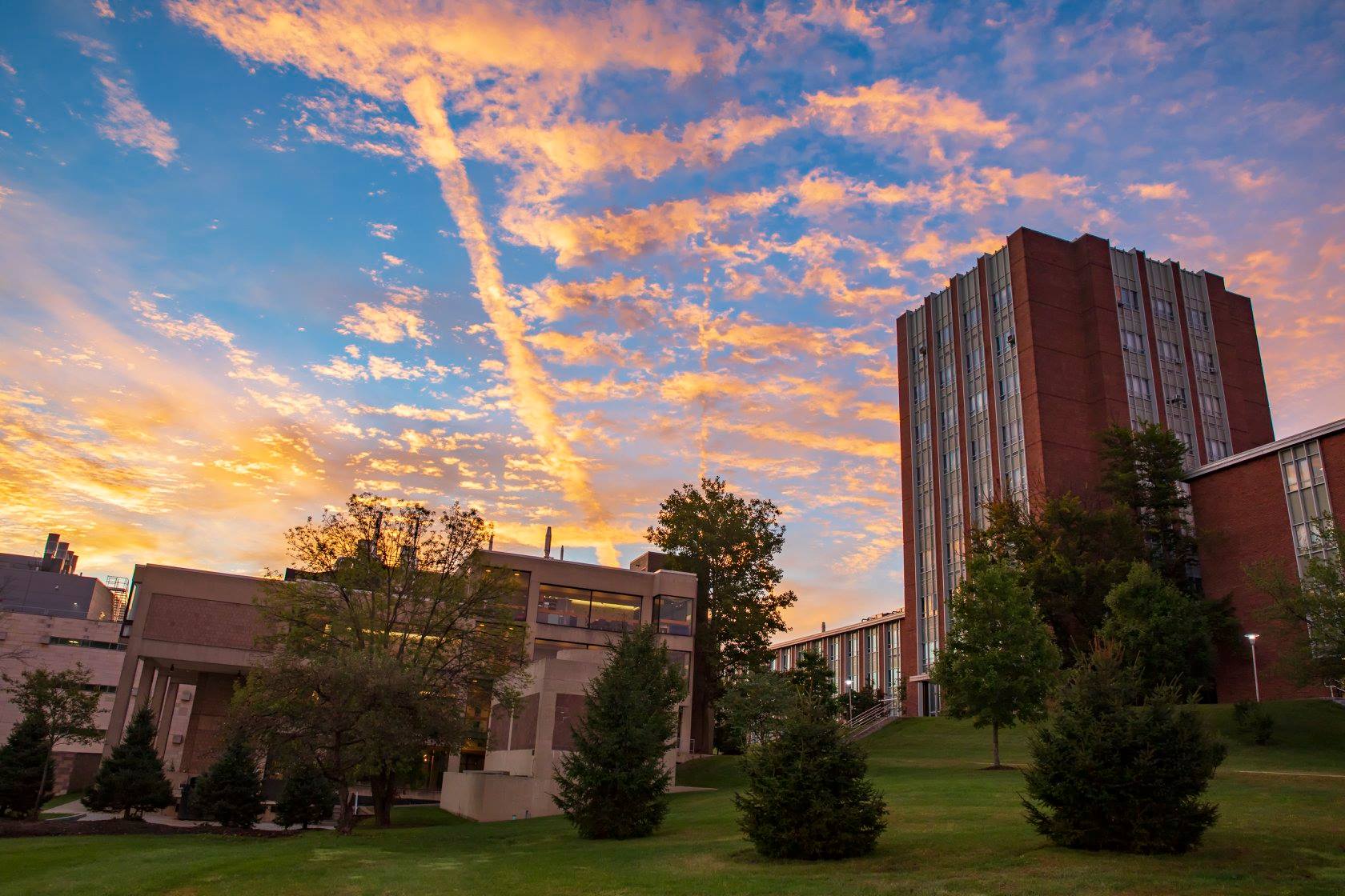 Binghamton Campus