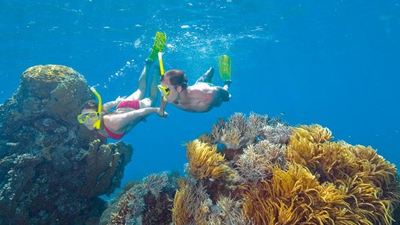Cairns: já conhece o paraíso australiano?