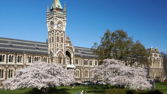 Las 7 universidades más bellas