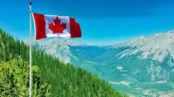 Teve seu visto canadense negado? Aprenda a reverter a situação
