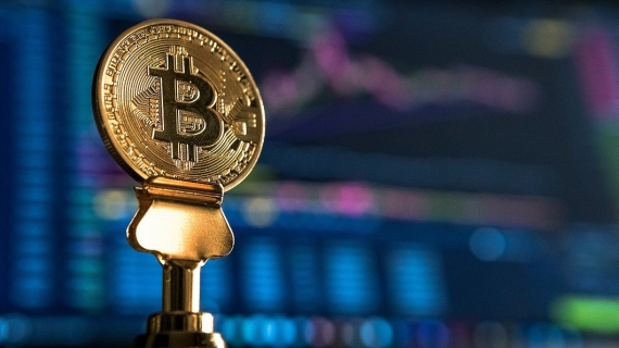 New Trends in Financial Studies: Courses on Cryptocurrencies