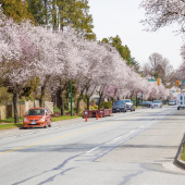 Vancouver: conheça os lugares mais badalados da cidade 