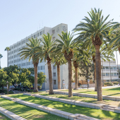 Top 6 Fields of Study for Launching a Career in Hollywood, California