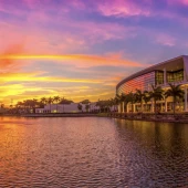 Universidade de Miami: estude em uma das melhores instituições dos EUA e melhore seu inglês 