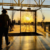 Study Business and Economics by the Picturesque Portuguese Coast